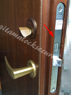 輸入玄関ドア ASSA