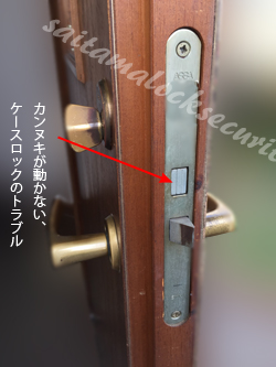 swedoor-assa