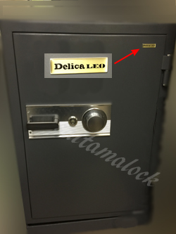 DelicaLEO
