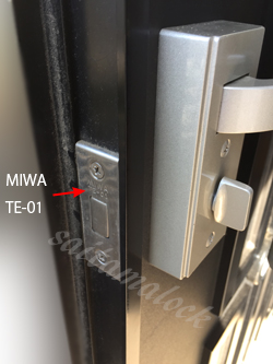 miwa pa01 te01