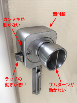 SHOWA516