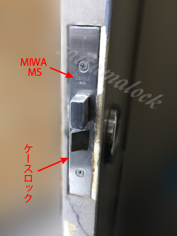 MIWA MS