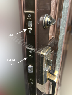 GOAL GF+AD