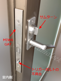 miwa gat