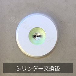 三協立山アルミの玄関ドア