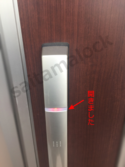 ykkapヴィナート玄関ドア