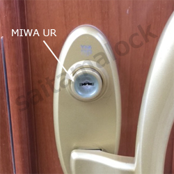 MIWA PEFSP