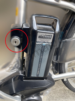 YAMAHA PAS Natura