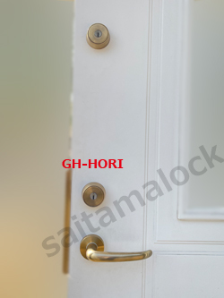 GH-HORI