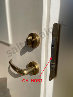 GH-HORI