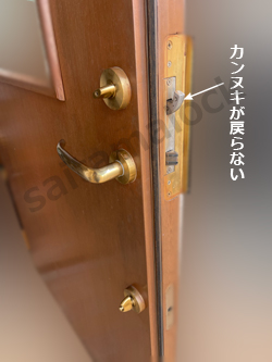 GH-HORI