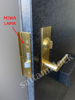 MIWA LAMA