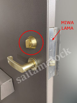 MIWA LAMA PR