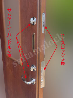 GH-HORI