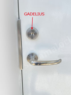 GH-HORI GADELIUS