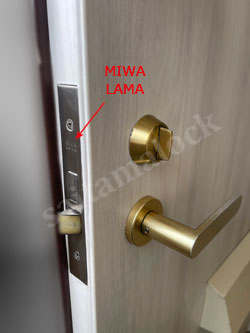MIWA LAMA