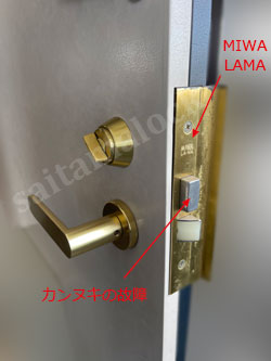 MIWA LAMA