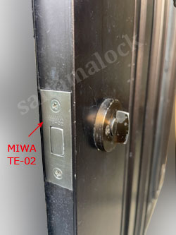 MIWA GAE+TE-02